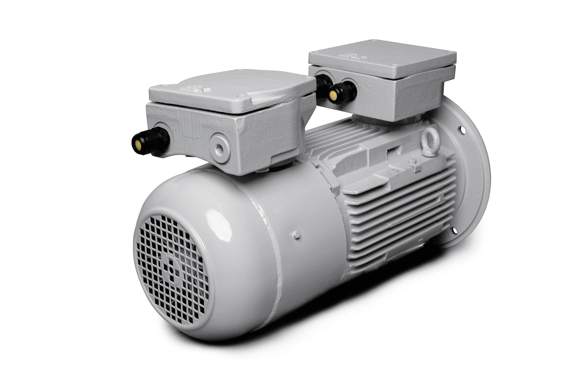 ATEX-Motor mit Bremse